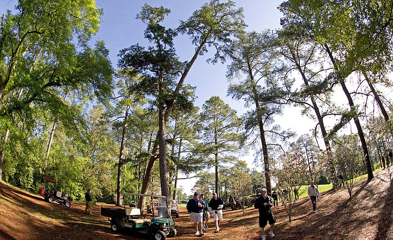 Golf fans walk near a large tree leaning at an angle near the third green during a practice round prior to the 2011 Masters. A storm that passed through the area overnight caused damage and delayed tee times on the course.