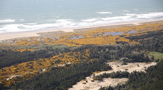 A 27-hole municipal course in Bandon Dunes would be located on a sandy, partially wooded stretch of ground six miles south of town center, overlooking a lagoon and coastal barrier sand bar.