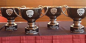 TaylorMade wins 2014 Industry Cup title