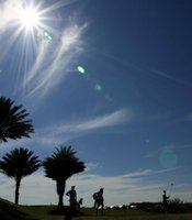 photo thumbnail