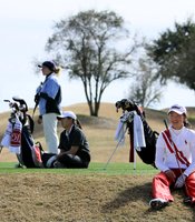 photo thumbnail