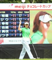 photo thumbnail