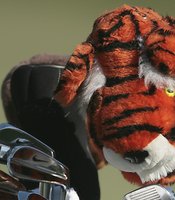 photo thumbnail