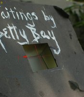 photo thumbnail