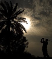 photo thumbnail