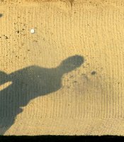 photo thumbnail