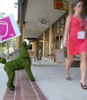 photo thumbnail