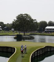 photo thumbnail