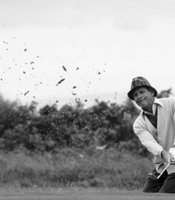 photo thumbnail