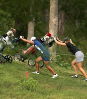 photo thumbnail