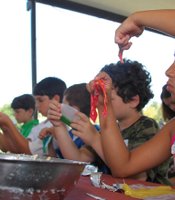 photo thumbnail