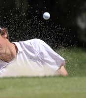 photo thumbnail
