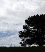 photo thumbnail