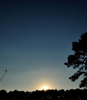 photo thumbnail
