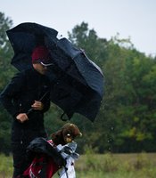 photo thumbnail