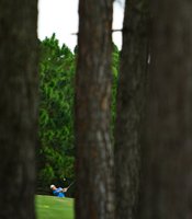 photo thumbnail