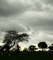 photo thumbnail