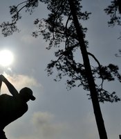 photo thumbnail