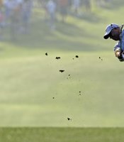 photo thumbnail