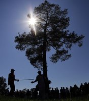 photo thumbnail