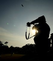 photo thumbnail