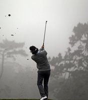 photo thumbnail