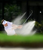 photo thumbnail