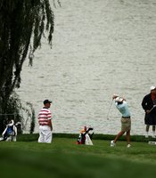 photo thumbnail