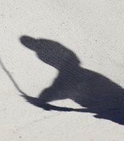 photo thumbnail