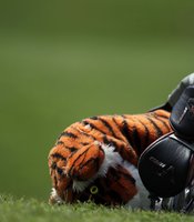 photo thumbnail