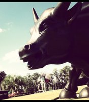 photo thumbnail