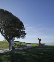 photo thumbnail