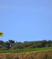 photo thumbnail