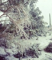 photo thumbnail