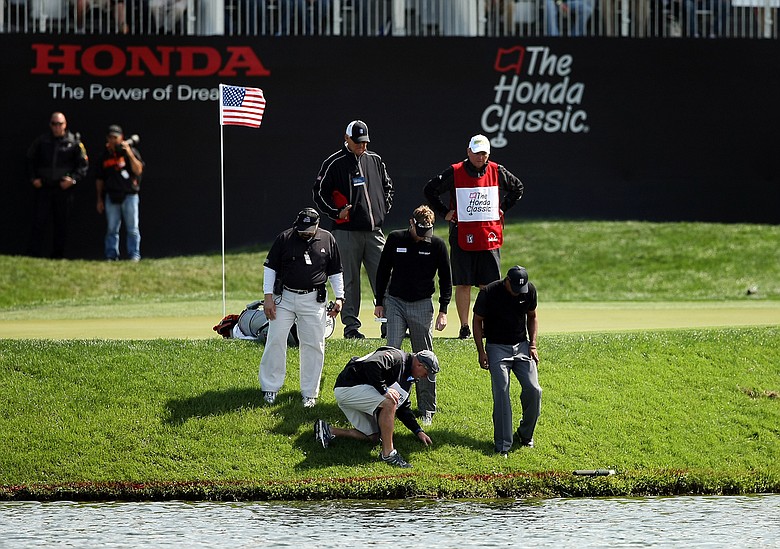 Tiger Woods, bottom right, along with playing partner David Lynn and their caddies try to search for Woods' ball at No. 17 during the Honda Classic on Saturday.