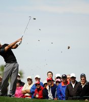 photo thumbnail