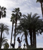 photo thumbnail