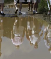 photo thumbnail