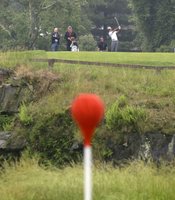 photo thumbnail