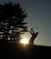 photo thumbnail