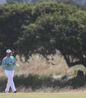 photo thumbnail