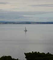 photo thumbnail