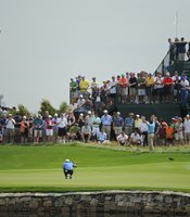 photo thumbnail