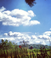 photo thumbnail
