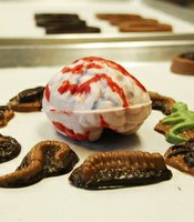 photo thumbnail