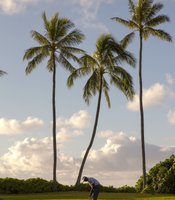 photo thumbnail