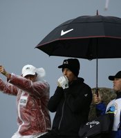 photo thumbnail