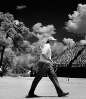 photo thumbnail